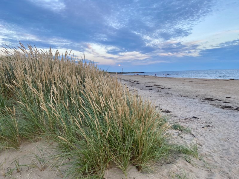 Skrea Strand 43