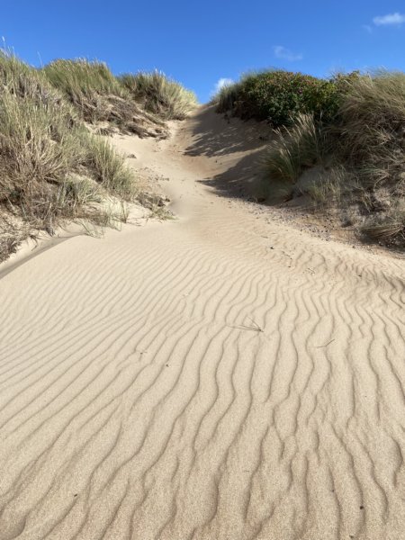 Skrea Strand 100