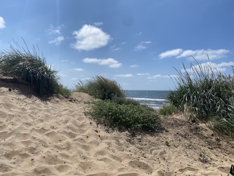 Skrea Strand 19