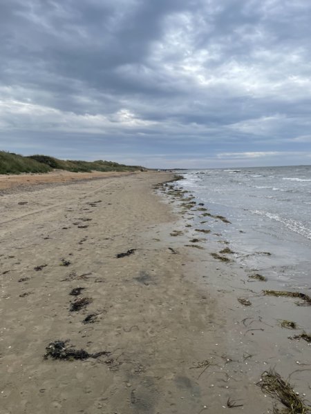 Skrea Strand 59