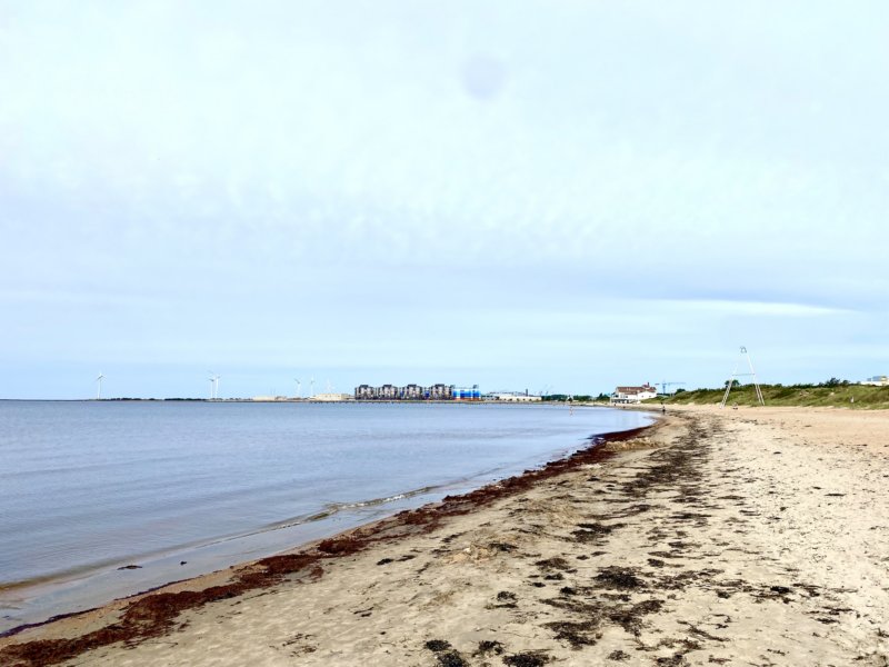 Skrea Strand 116