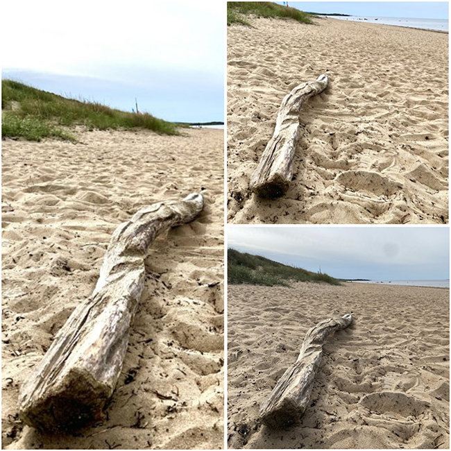 Skrea Strand 118