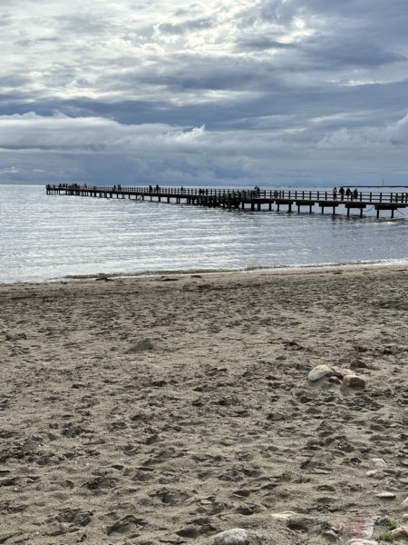 Skrea Strand 38