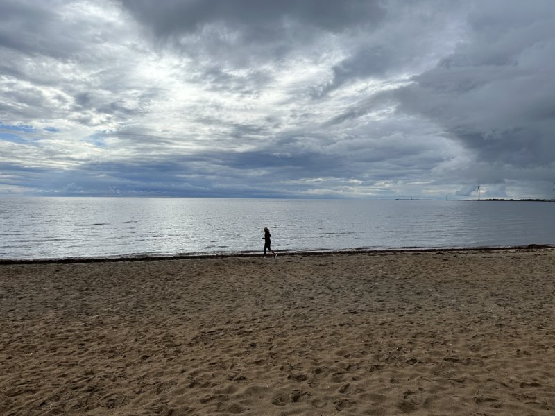 Skrea Strand 39