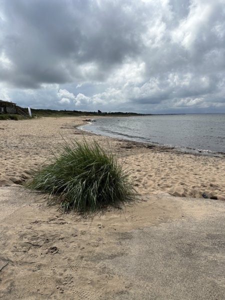 Skrea Strand 79