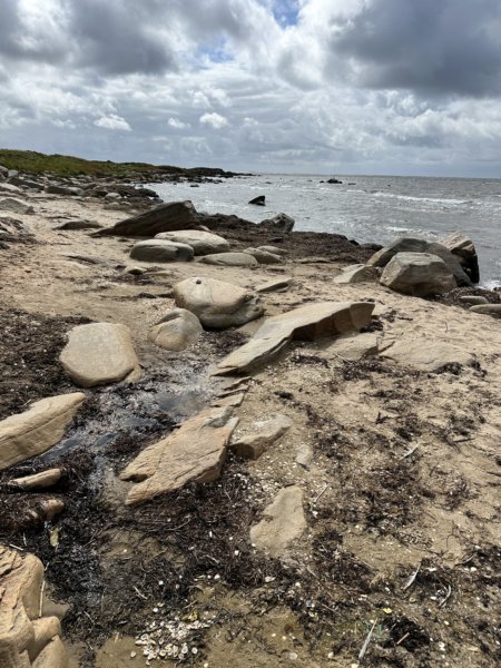 Skrea Strand 97
