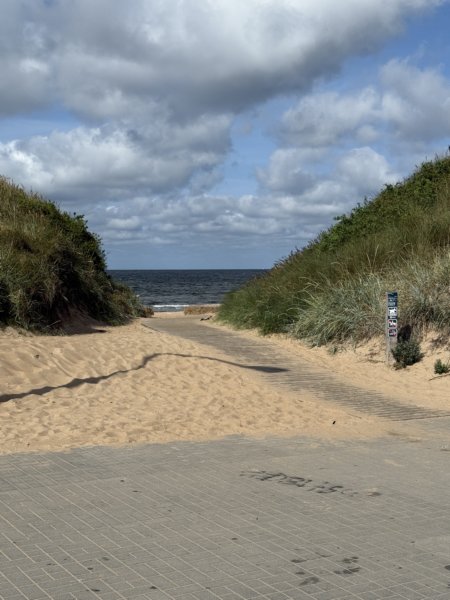 Skrea Strand 36