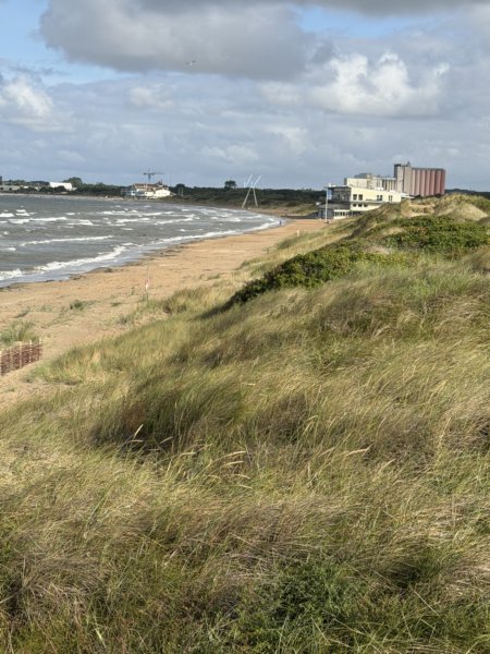 Skrea Strand 33
