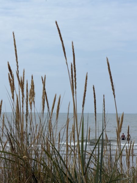 Skrea Strand 100