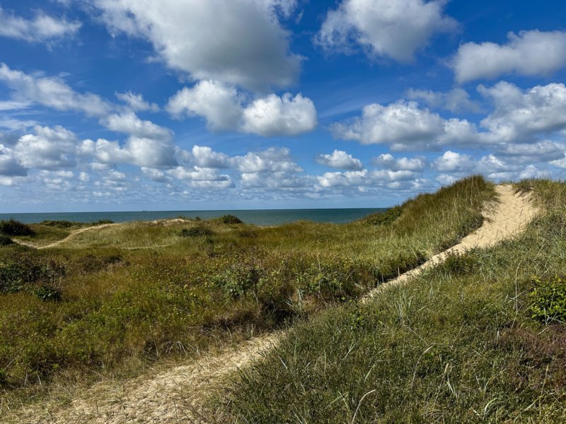 Skrea Strand 175