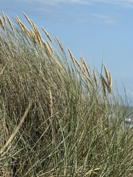 Skrea Strand 90