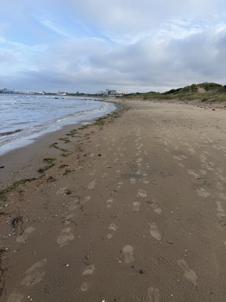 Skrea Strand 95