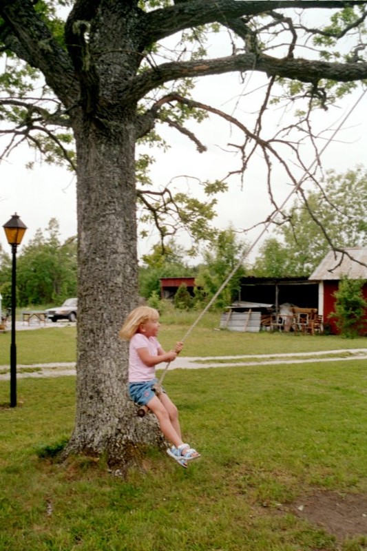 Gotland 29