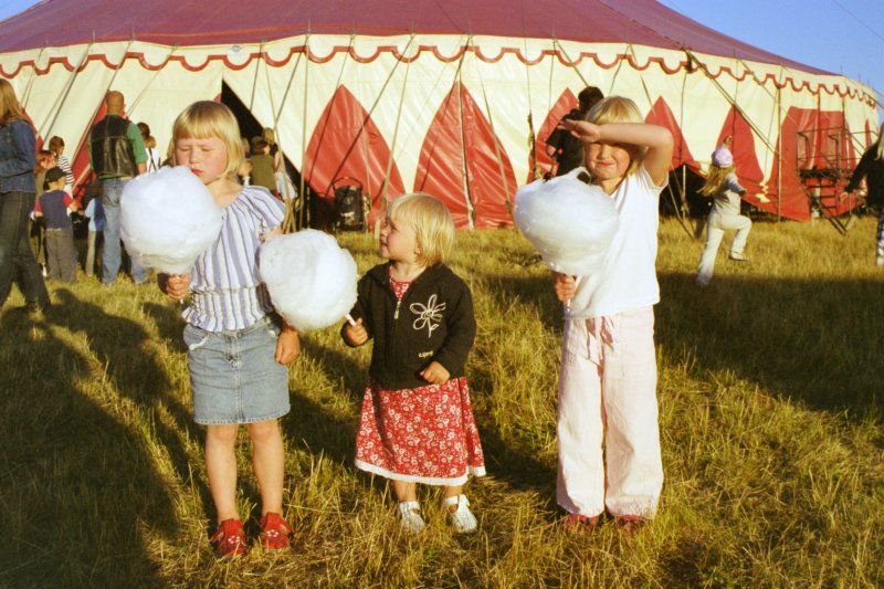 Gotland 17