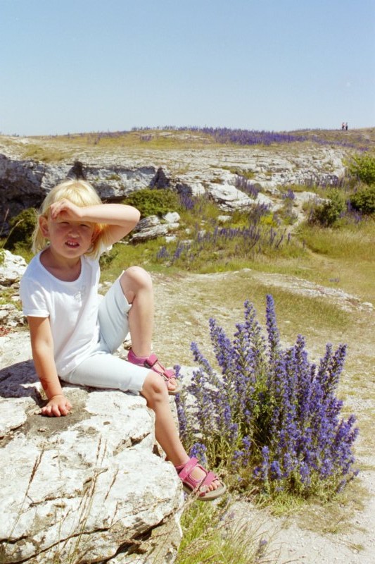 Gotland 19
