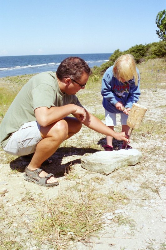 Gotland 23