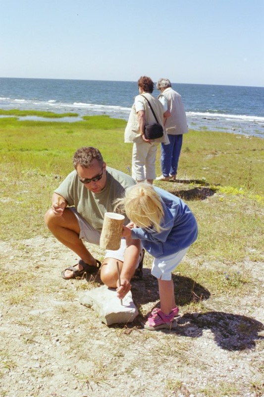 Gotland 24