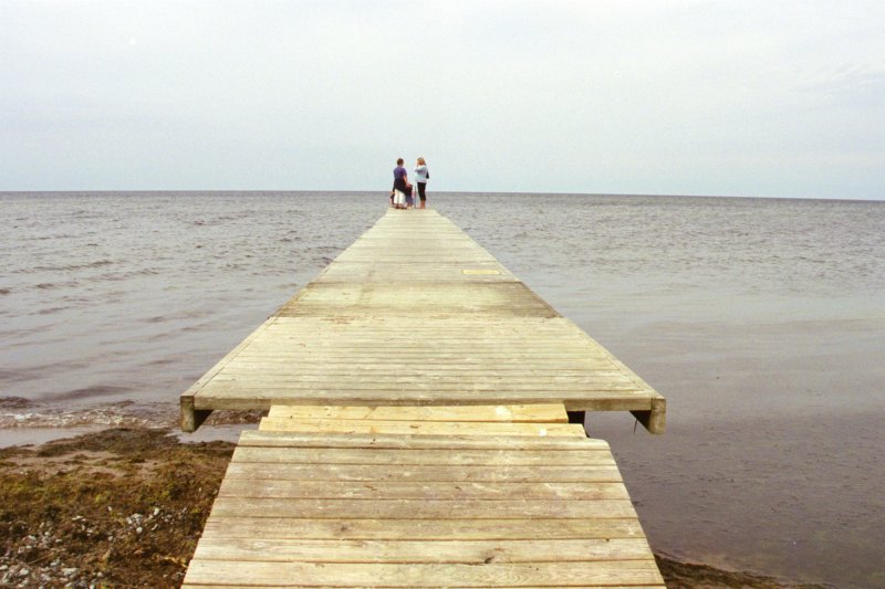 Gotland 8