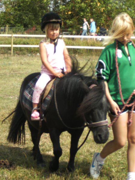 Gotland 79