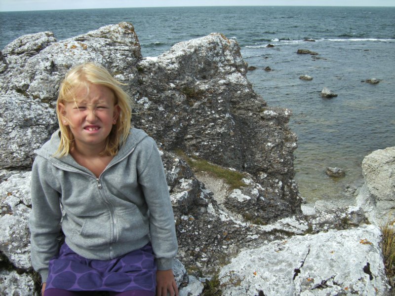 Gotland 86