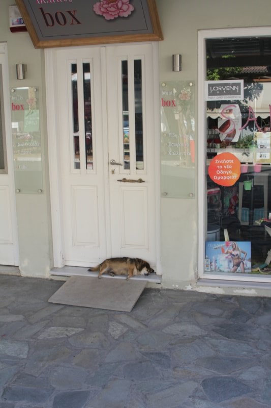 Lefkas 29