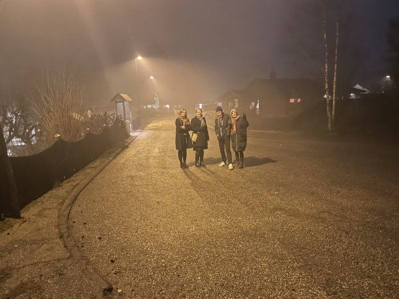 Nyår 29