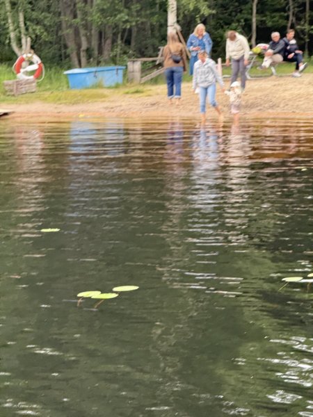 Ingarö 27