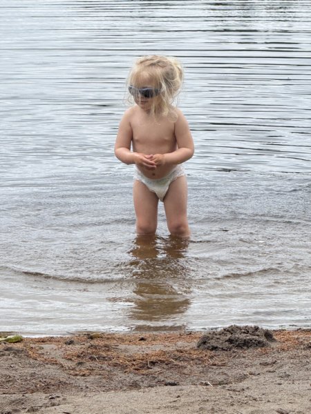Ingarö 50