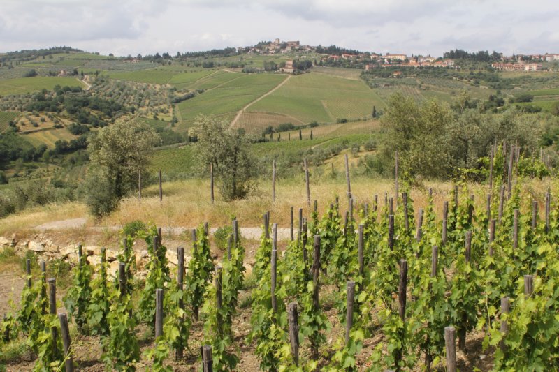 Villa Fabbroni 76