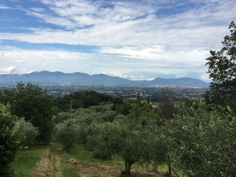 Villa Pasquinelli 21