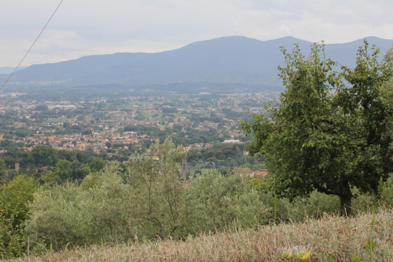 Villa Pasquinelli 306