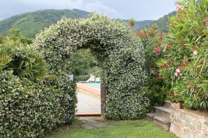 Villa Pasquinelli 316