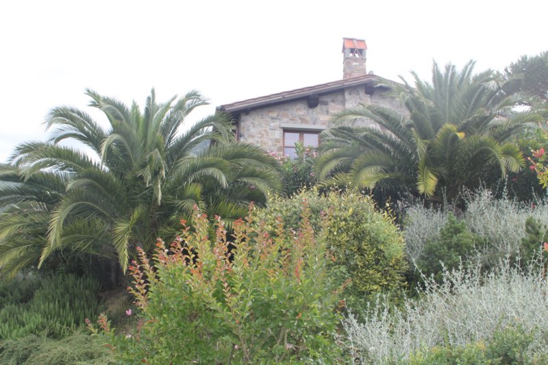 Villa Pasquinelli 338