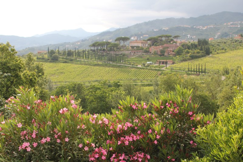 Villa Pasquinelli 339