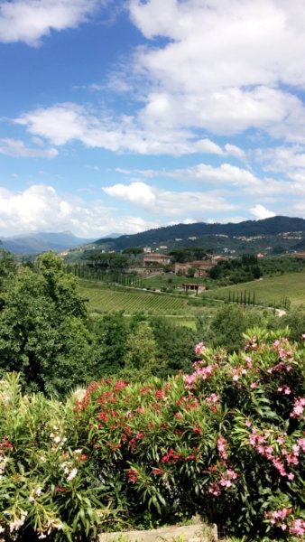 Villa Pasquinelli 355