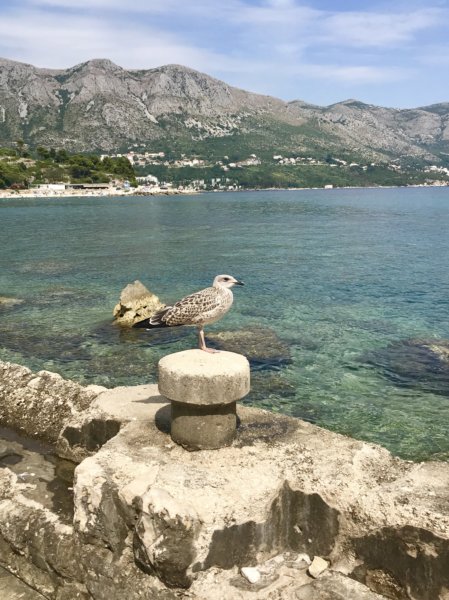 Kroatien 201