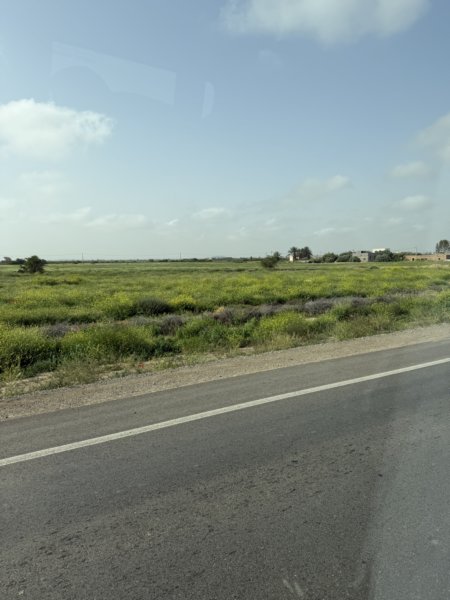Marrakech 294