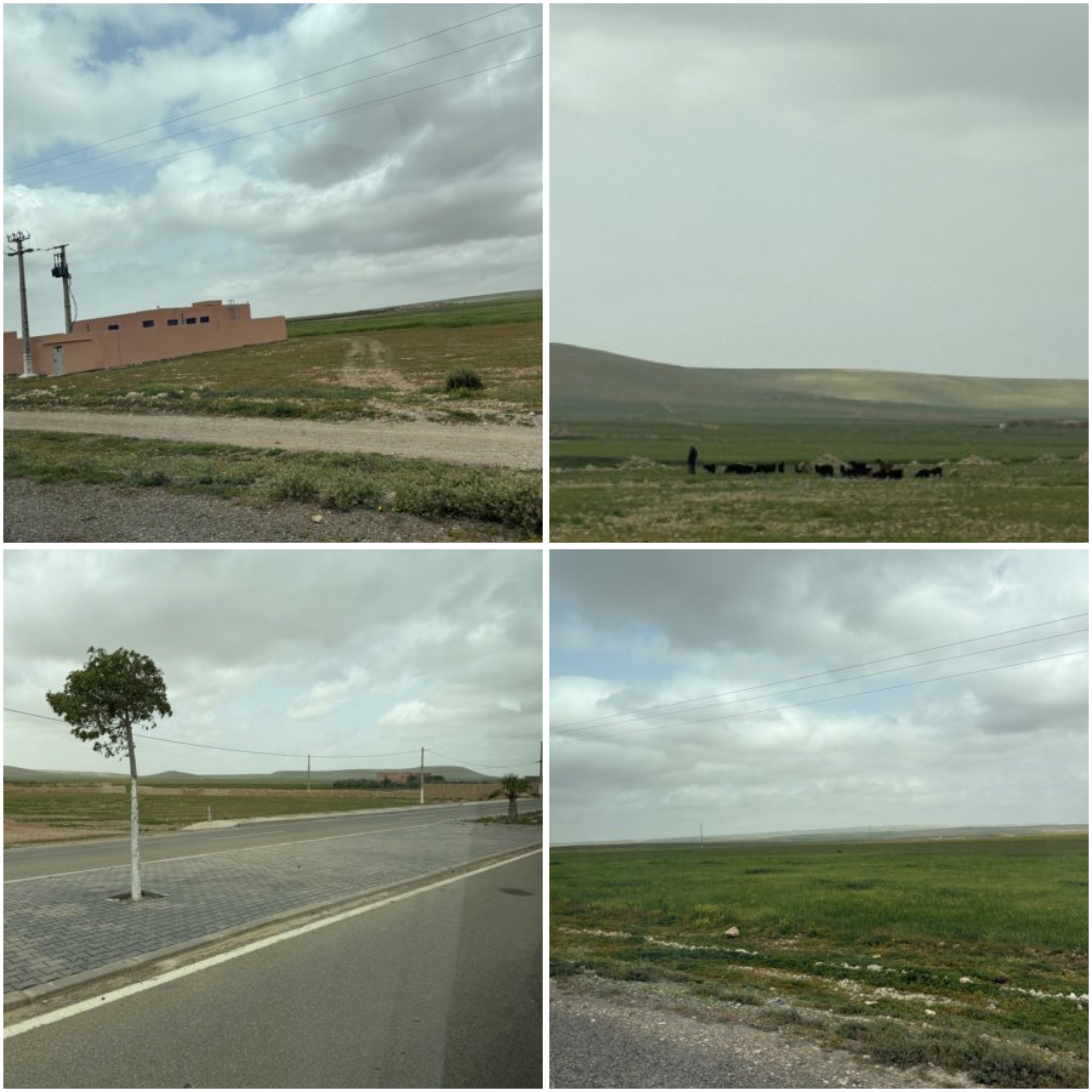 Marrakech 297