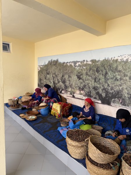 Marrakech 302