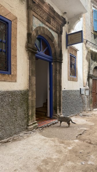 Marrakech 341