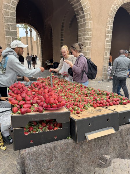 Marrakech 410