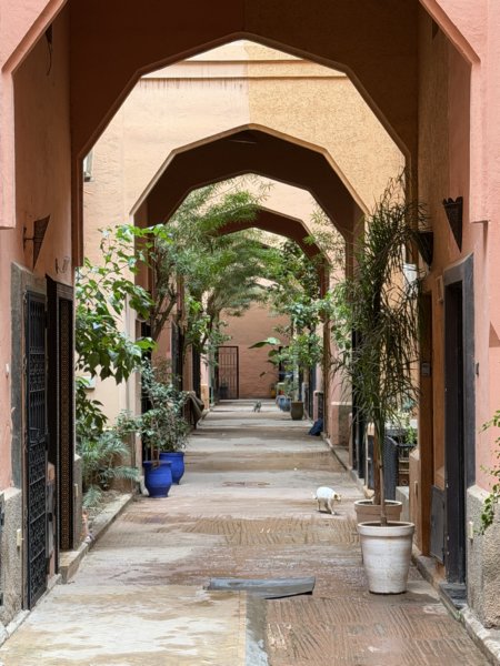 Marrakech 434