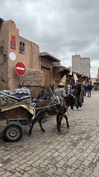 Marrakech 448