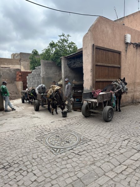 Marrakech 449