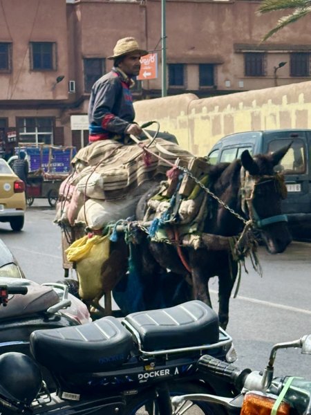 Marrakech 636