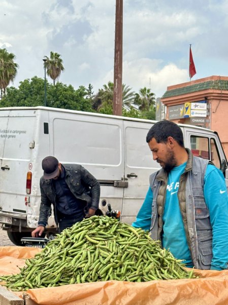 Marrakech 672