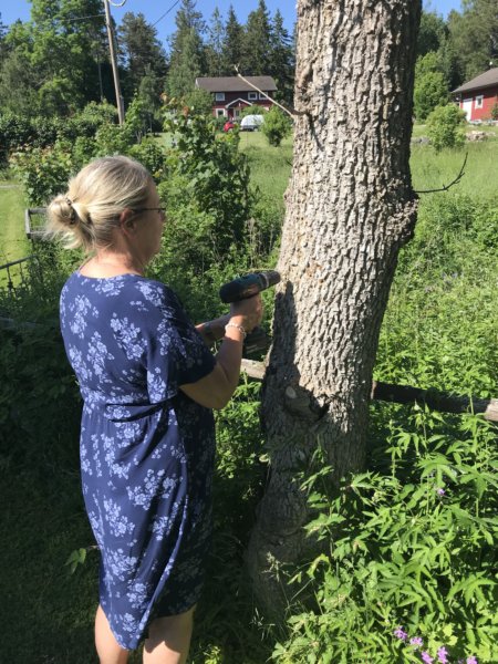 Väddö 15