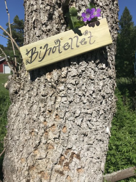 Väddö 16