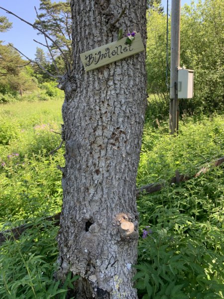 Väddö 33
