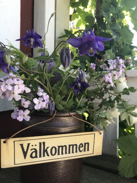 Väddö 6